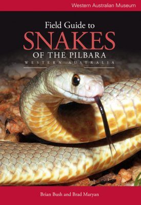 Field Guide To Snakes Of The Pilbara Western Australia