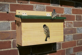 bird box with camera inside