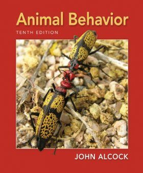 Animal Behavior An Evolutionary Approach John Alcock