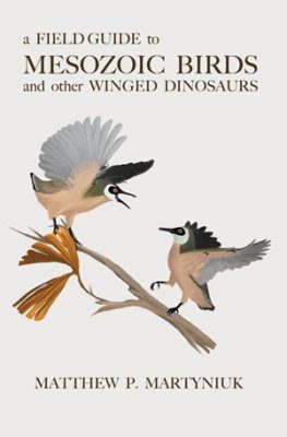 A Field Guide To Mesozoic Birds And Other Winged Dinosaurs