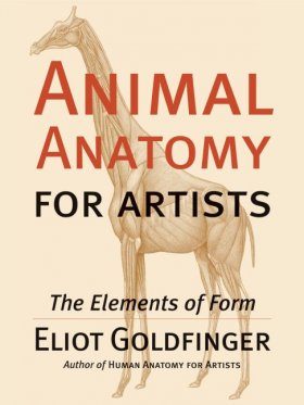 Human-Anatomy-for-Artists-The-Elements-of-Form