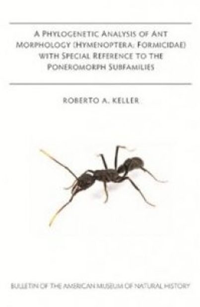 A Phylogenetic Analysis of Ant Morphology (Hymenoptera: Formicidae) with  Special Reference to the Poneromorph Subfamilies