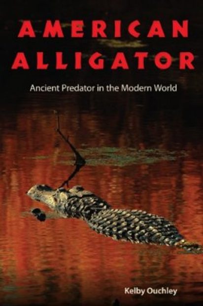 American Alligator Field Guide Poster: A Keystone Species of 