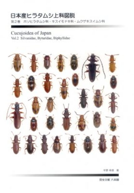 Cucujoidea Of Japan Volume 2 Japanese Silvanidae Byturidae Biphyllidae Nhbs Academic Professional Books