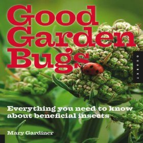 Good Garden Bugs Everything You Need To Know About