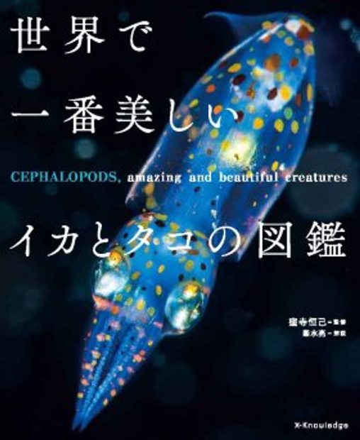 Cephalopods Amazing And Beautiful Creatures Japanese Nhbs Academic Professional Books