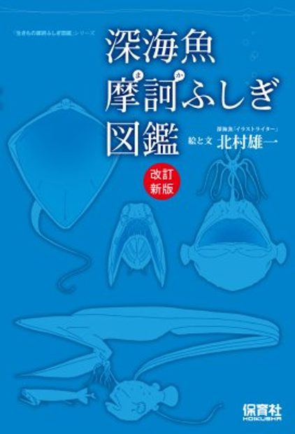 Shinkaigyo Maka Fushigi Zukan Mysterious Deep Sea Fish Picture Book Nhbs Academic Professional Books