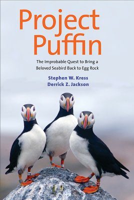 Puffin  Project Noah