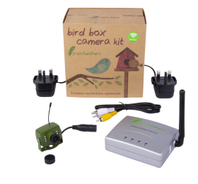 Fashion bird nest box camera