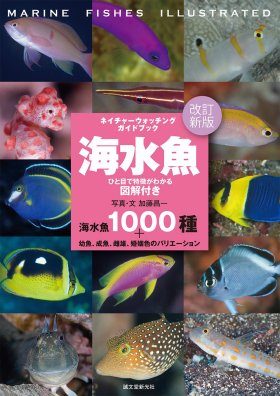 Visual Guide of 1400 Fish Species with Photo Reference [Japanese]