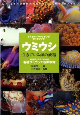Ophistobranchs Illustrated [Japanese] | NHBS Field Guides