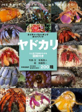 200 Hermit Crabs Illustrated [Japanese] | NHBS Field Guides 