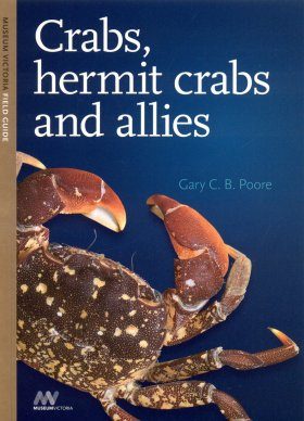 Crabs Hermit Crabs And Allies Museum Victoria Field Guide