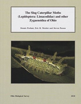 The Slug Caterpillar Moths Lepidoptera Limacodidae And