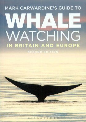Mark Carwardine S Guide To Whale Watching In Britain And
