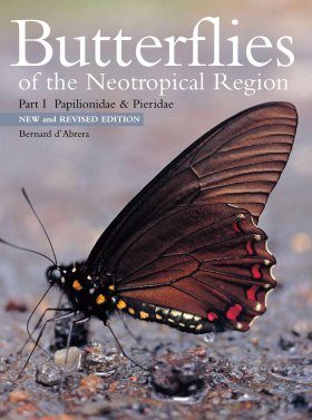 Butterflies Of The Neotropical Region Part 1