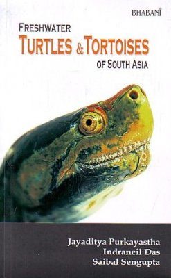 Freshwater Turtles Amp Tortoises Of South Asia Jayaditya