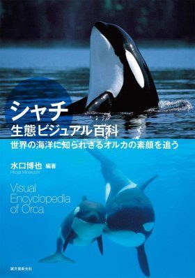 Visual Encyclopedia of Orca [Japanese] | NHBS Academic