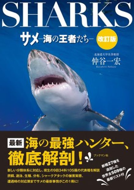 Sharks Champion Of The Sea Japanese Nhbs Field Guides Natural History