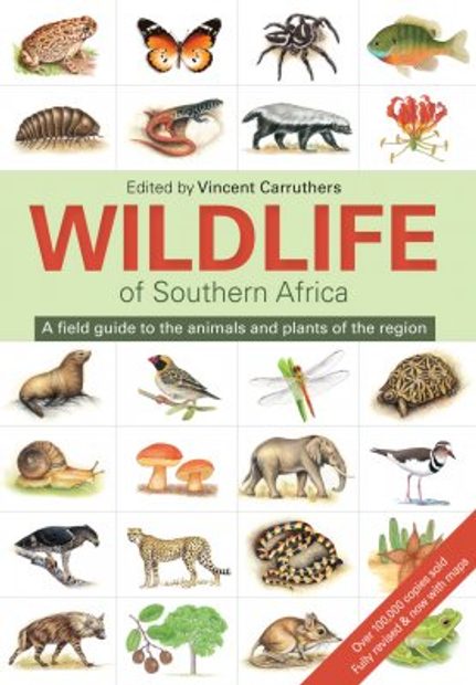 Wildlife of Southern Africa: A Field Guide to the Animals and Plants of the  Region | NHBS Field Guides & Natural History