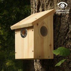 camera ready bird box