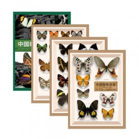 Butterflies of China (4-Volume Set) [Chinese]
