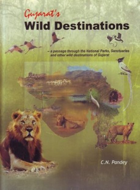 Gujarat's Wild Destinations | NHBS Academic & Professional Books Gujarat's Wild Destinations | NHBS Academic & Professional Books