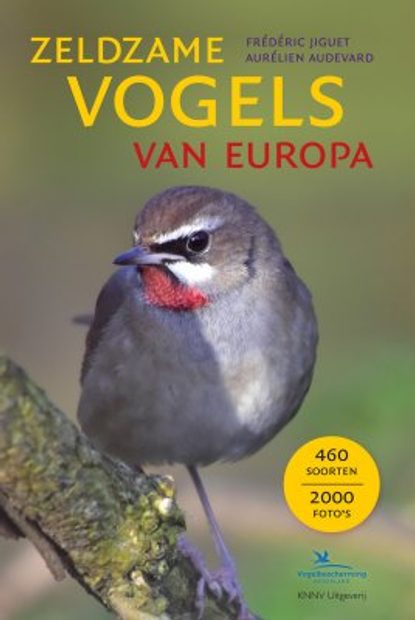 Zeldzame Vogels Van Europa All The Rare Birds Of Europe Nhbs Field Guides Natural History