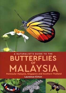 A Naturalist S Guide To Butterflies Of Malaysia