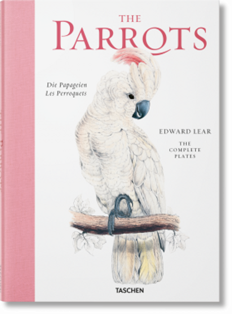 希少 The Parrots Die Papageien 鳥 コレクター 画集その他美術関連出品中
