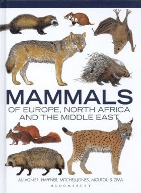 Mammals Of Europe North Africa And The Middle East