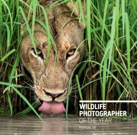 Wildlife Photographer of the Year, Portfolio 28 | NHBS Good