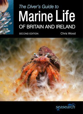 The Diver S Guide To Marine Life Of Britain And Ireland