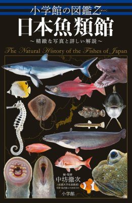 The Natural History of the Fishes of Japan [Japanese] | NHBS