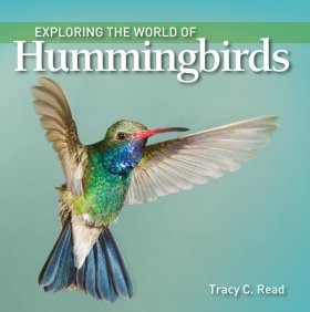 洋楽 Hummingbird Dirmond Nights Exploring the World of Hummingbirds | NHBS Academic & Professional