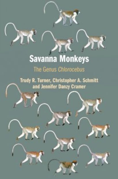 Savanna Monkeys: The Genus Chlorocebus | Nhbs Academic & Professional Books