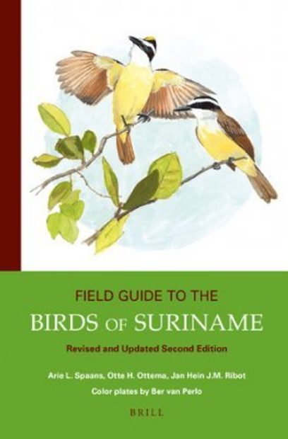 A Guide To The Birds Of Costa Rica (Helm Field Guides) - Stiles, F
