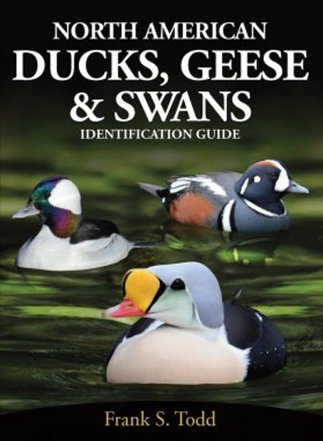 North American Ducks, Geese Swans: Identification Guide NHBS