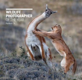 Wildlife Photographer of the Year, Portfolio 29 | NHBS Bookstore