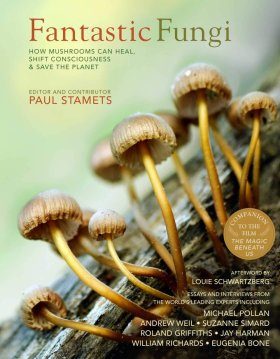 Fantastic Fungi | NHBS Good Reads