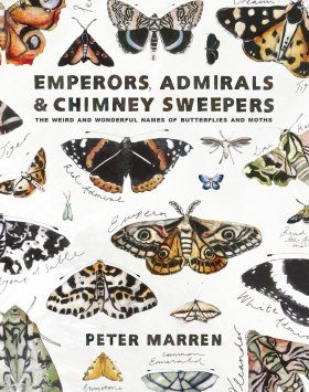 Pictures Of Moths With Names