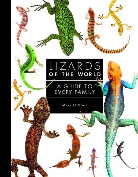 Lizards of the World: A Guide to Every Family | NHBS Field Guides