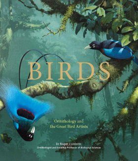 アート・デザイン・音楽 BIRDS and their World John Andrews アート