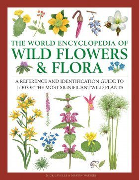 The World Encyclopedia of Wild Flowers & Flora | NHBS Field Guides