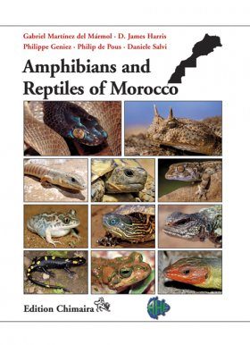 Amphibians and Reptiles of Morocco | NHBS Field Guides & Natural
