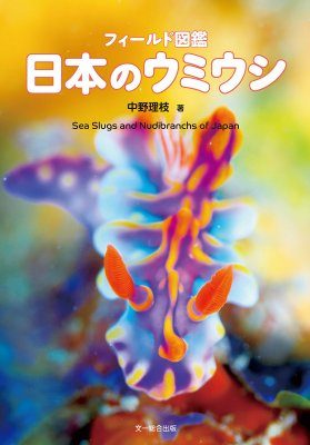 Sea Slugs and Nudibranchs of Japan [Japanese] | NHBS Field