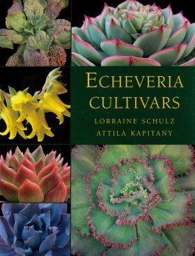 洋書 ECHEVERIA CULTIVARS 図鑑 洋書 ECHEVERIA CULTIVARS | sabotensoudanshitsu H