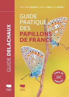 a la rencontre des papillons