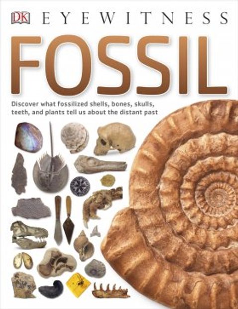 A History Of Life In 100 Fossils By Paul D. Taylor, Aaron O'Dea - Foto 8