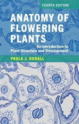 Anatomy of Flowering Plants: An Introduction to Structure and